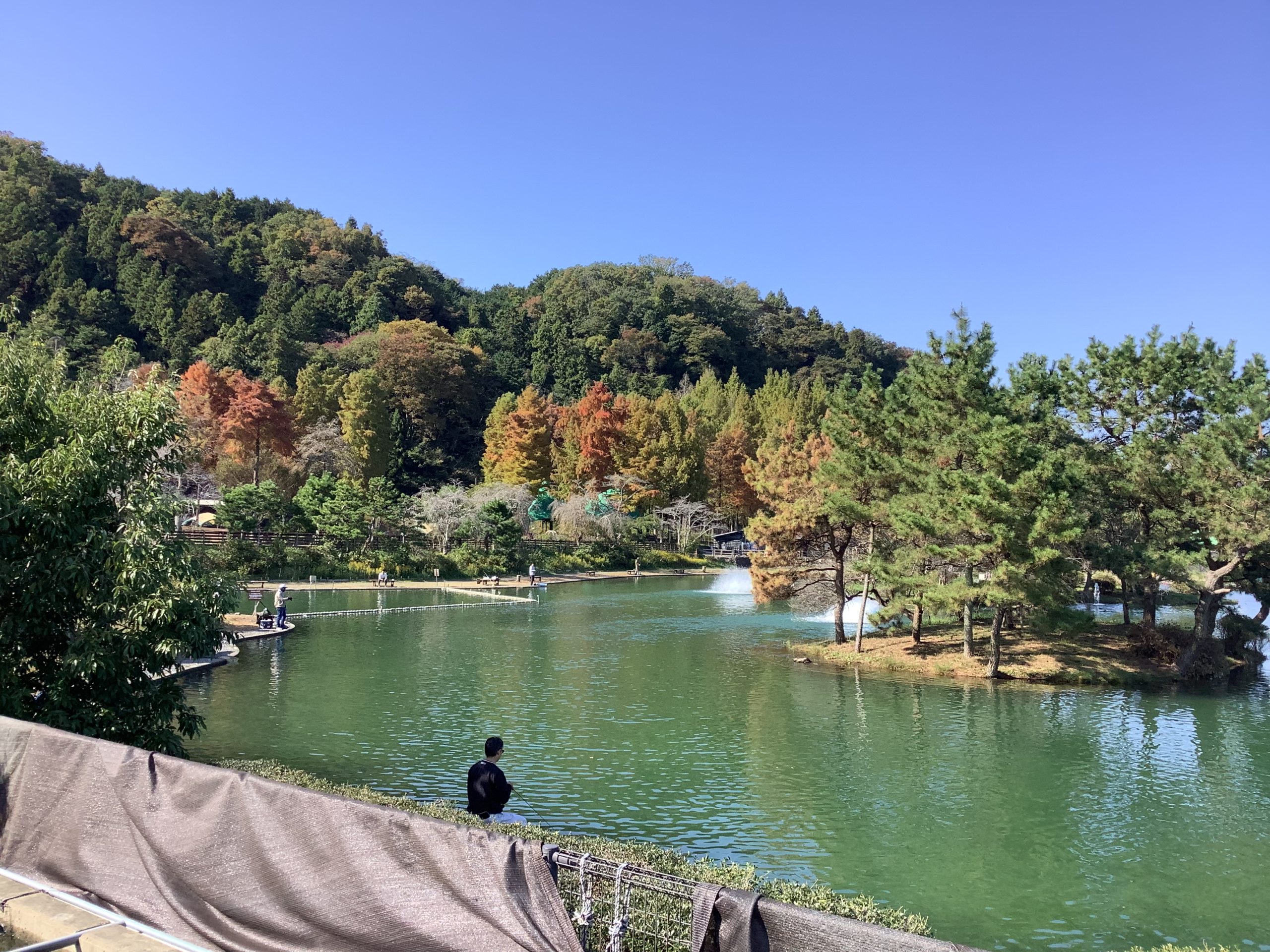 11月7日（金）日記