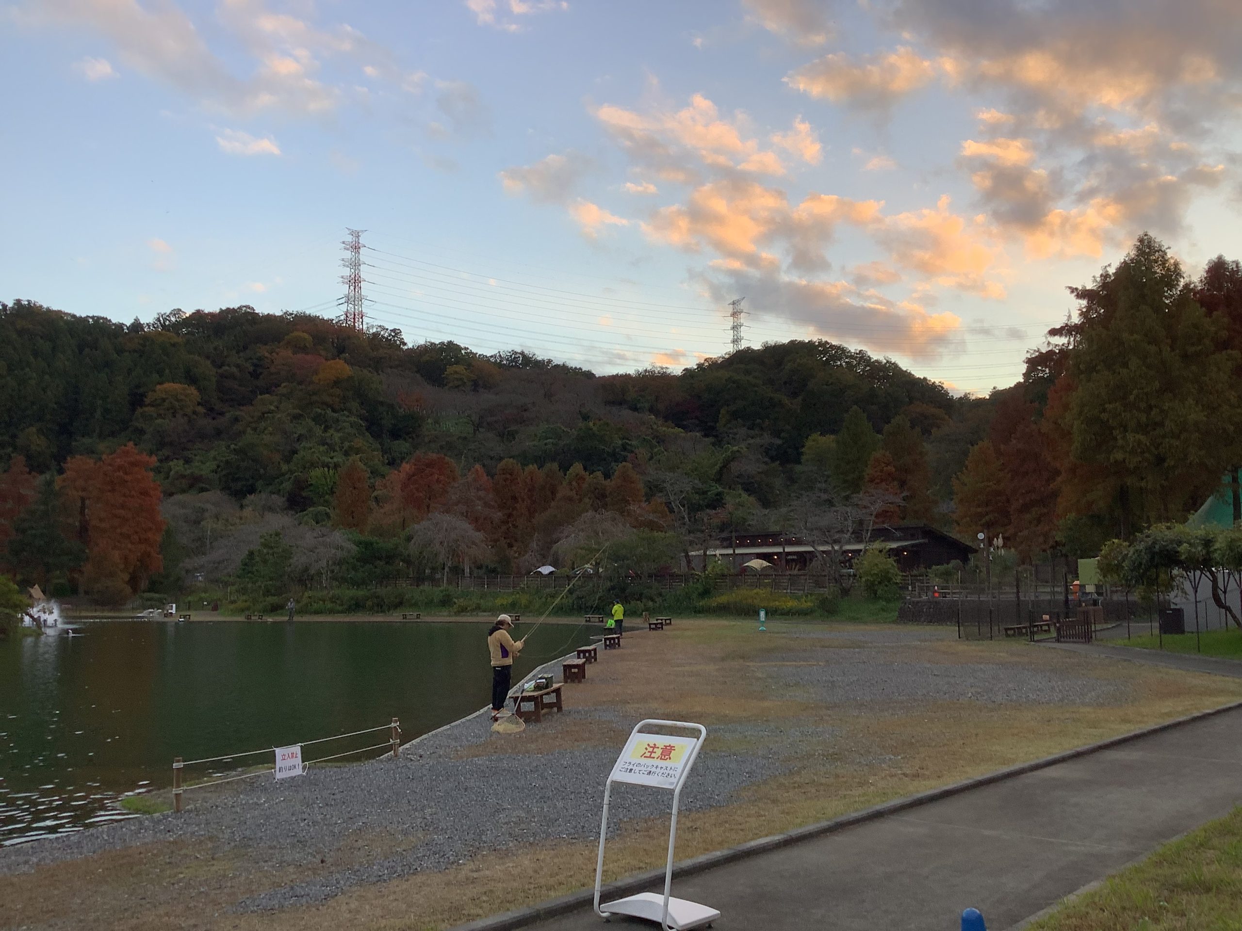 11月11日(火)日記