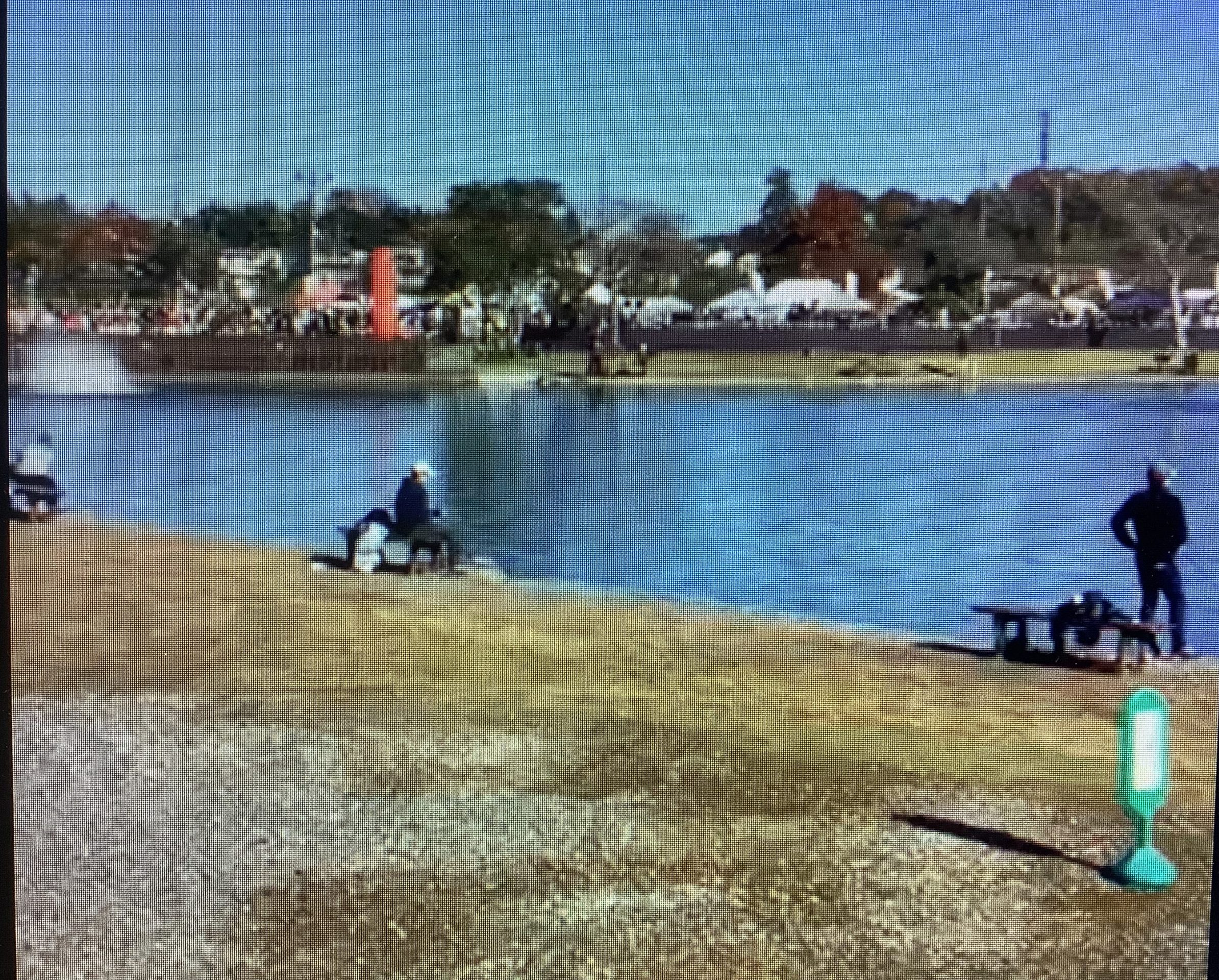 11月22日（土）日記