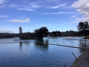 12月27日（土）日記