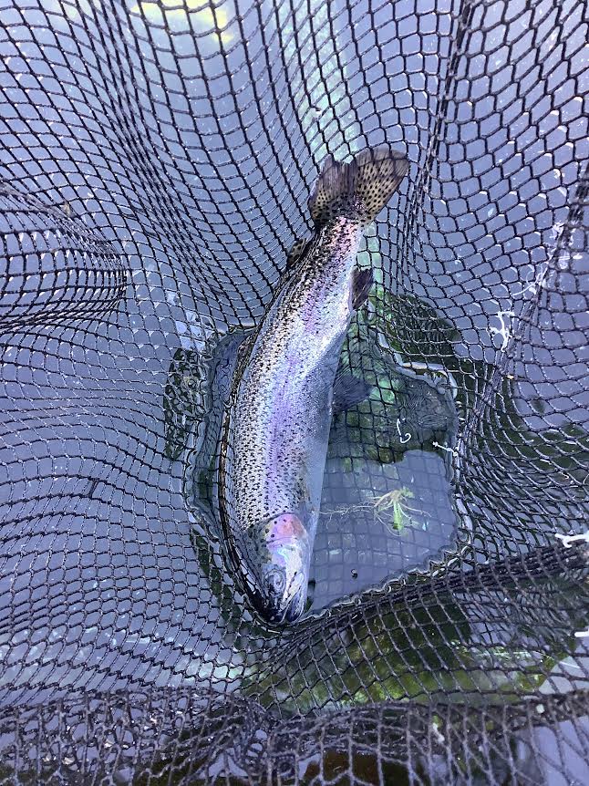 12月7日（日）日記