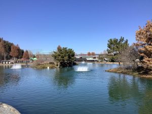 12月17日（水）日記