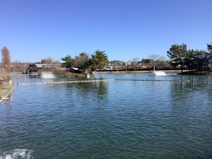 12月23日（火）日記