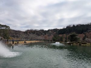 12月14日（日）日記