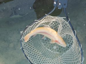 11月30日（日）立川市　たかちゃんさん