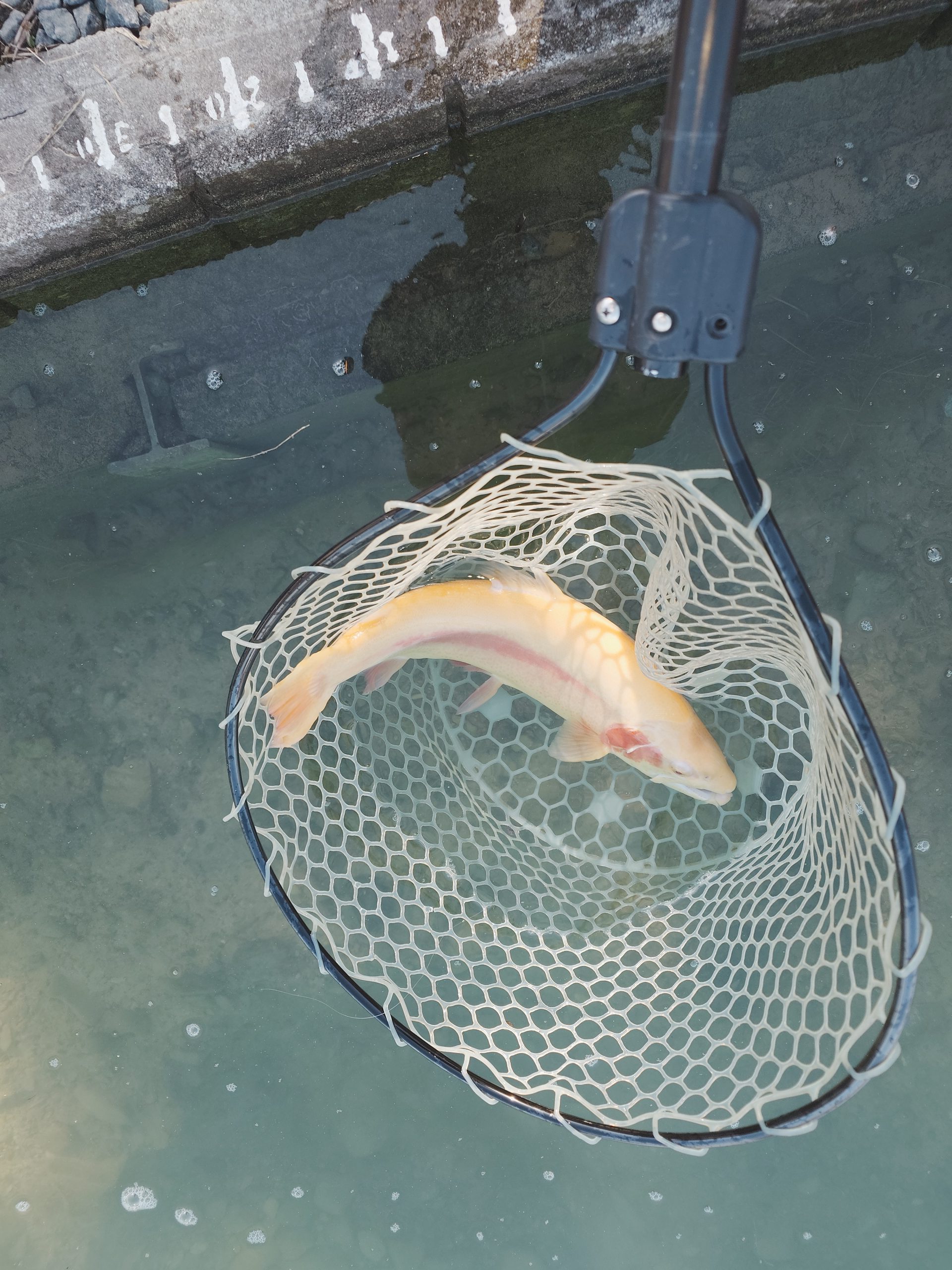 11月30日（日）立川市　たかちゃんさん