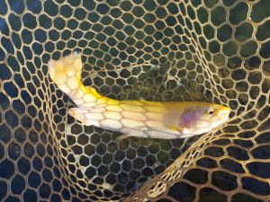 11月30日（日）　八王子市　平山さん