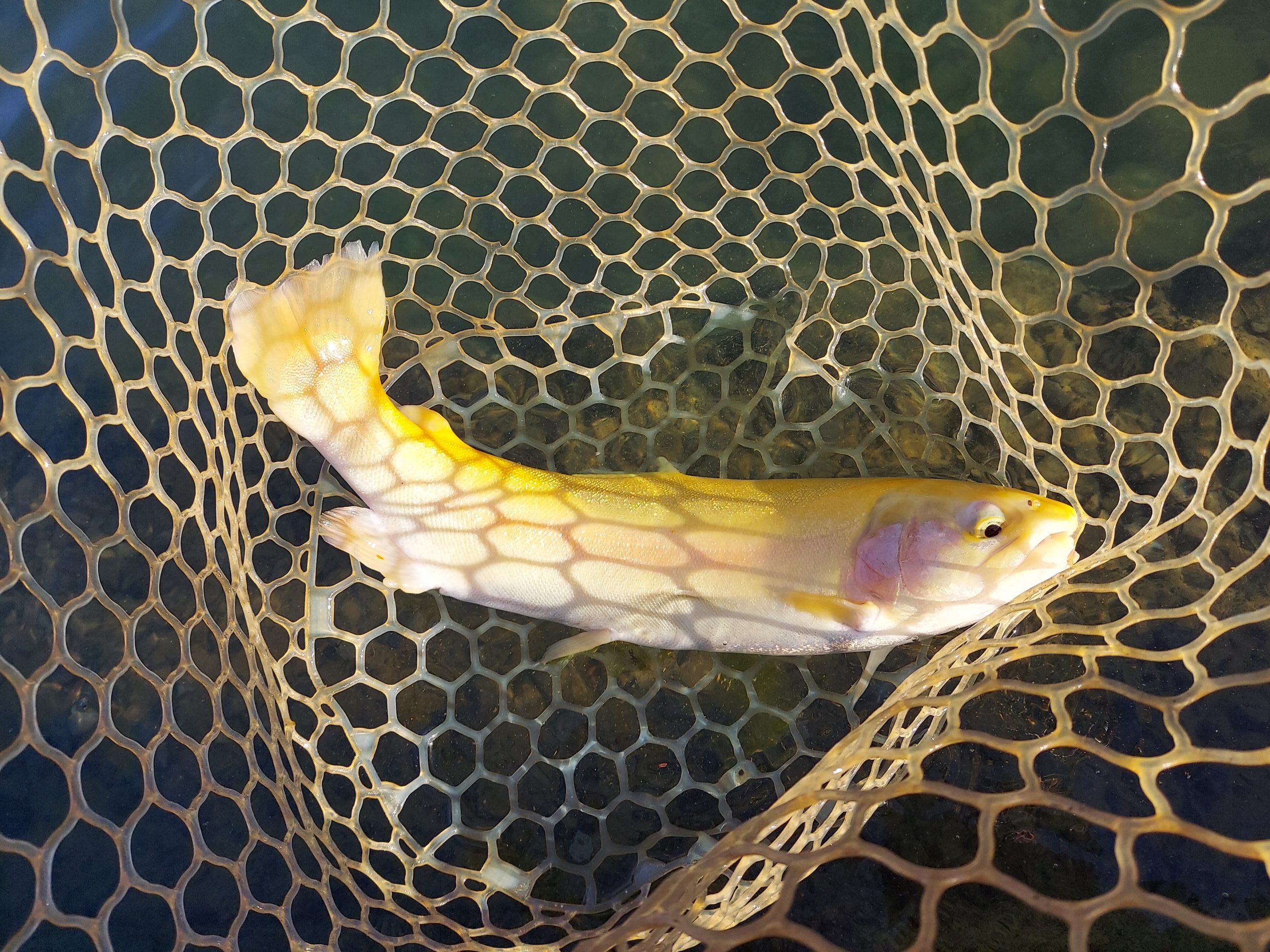 11月30日（日）　八王子市　平山さん