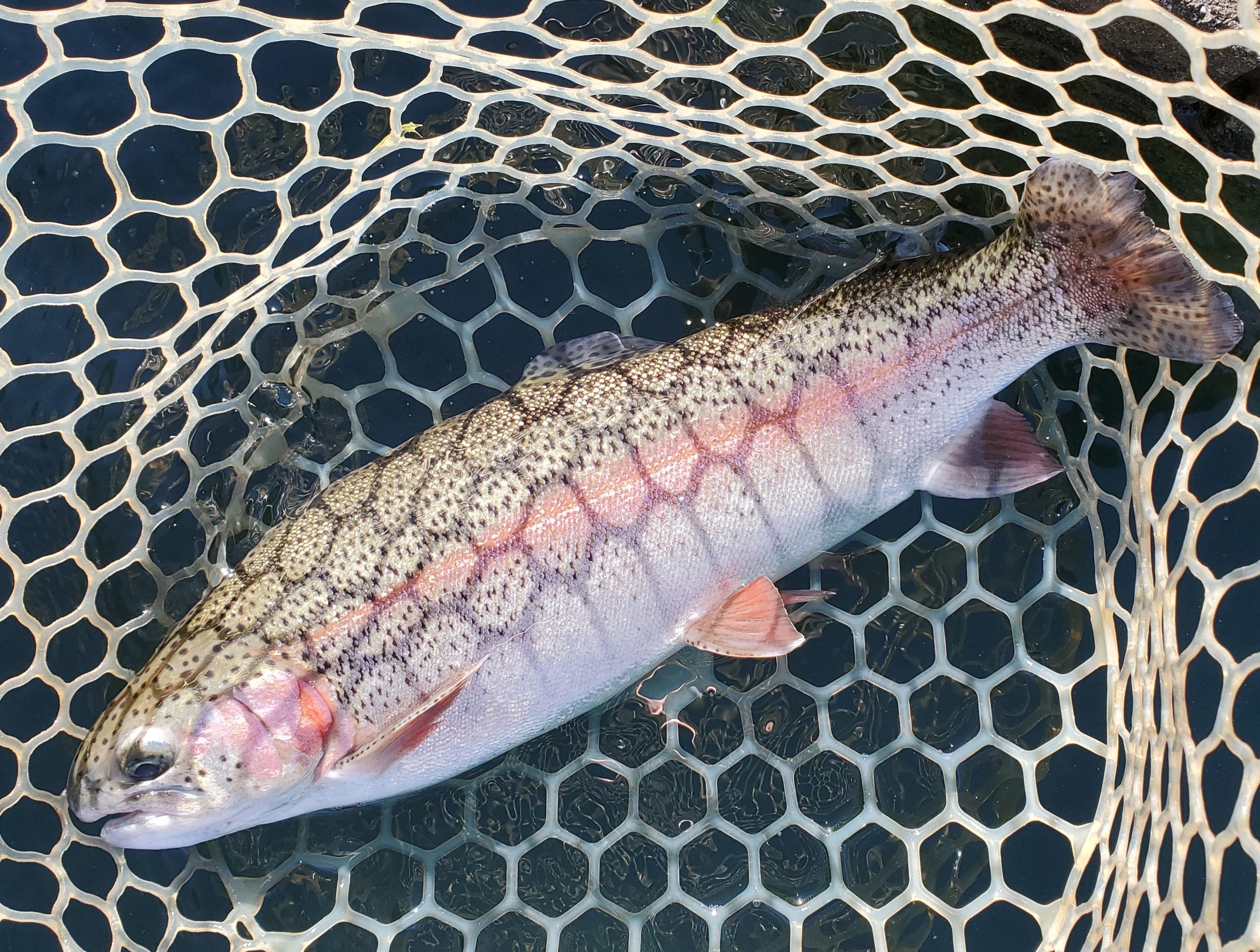 12月６日（土）　入間市　寒いの苦手さん