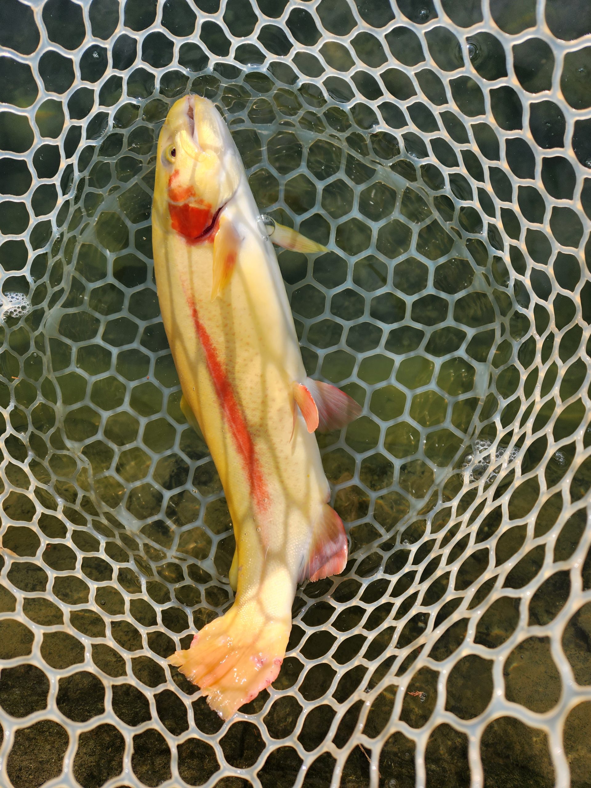 12月9日（火）あきる野市　あさん