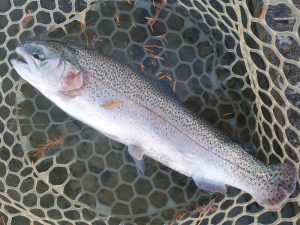 12月13日（土）入間市　寒いの苦手さん