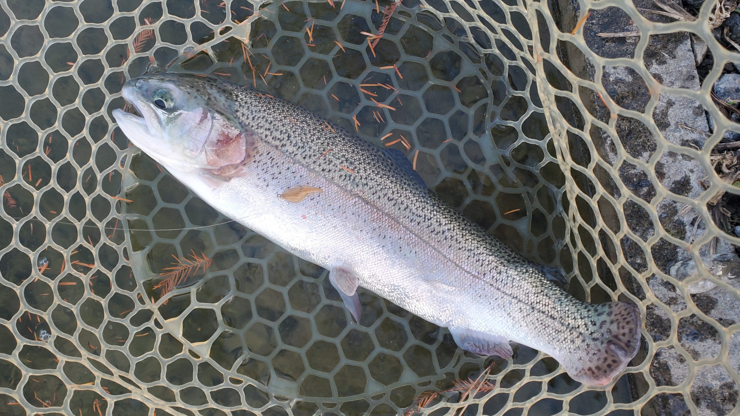 12月13日（土）入間市　寒いの苦手さん