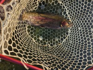 12月16日（火）杉並区　さいとうさん