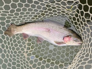 12月21日（日）八王子市　takaさん