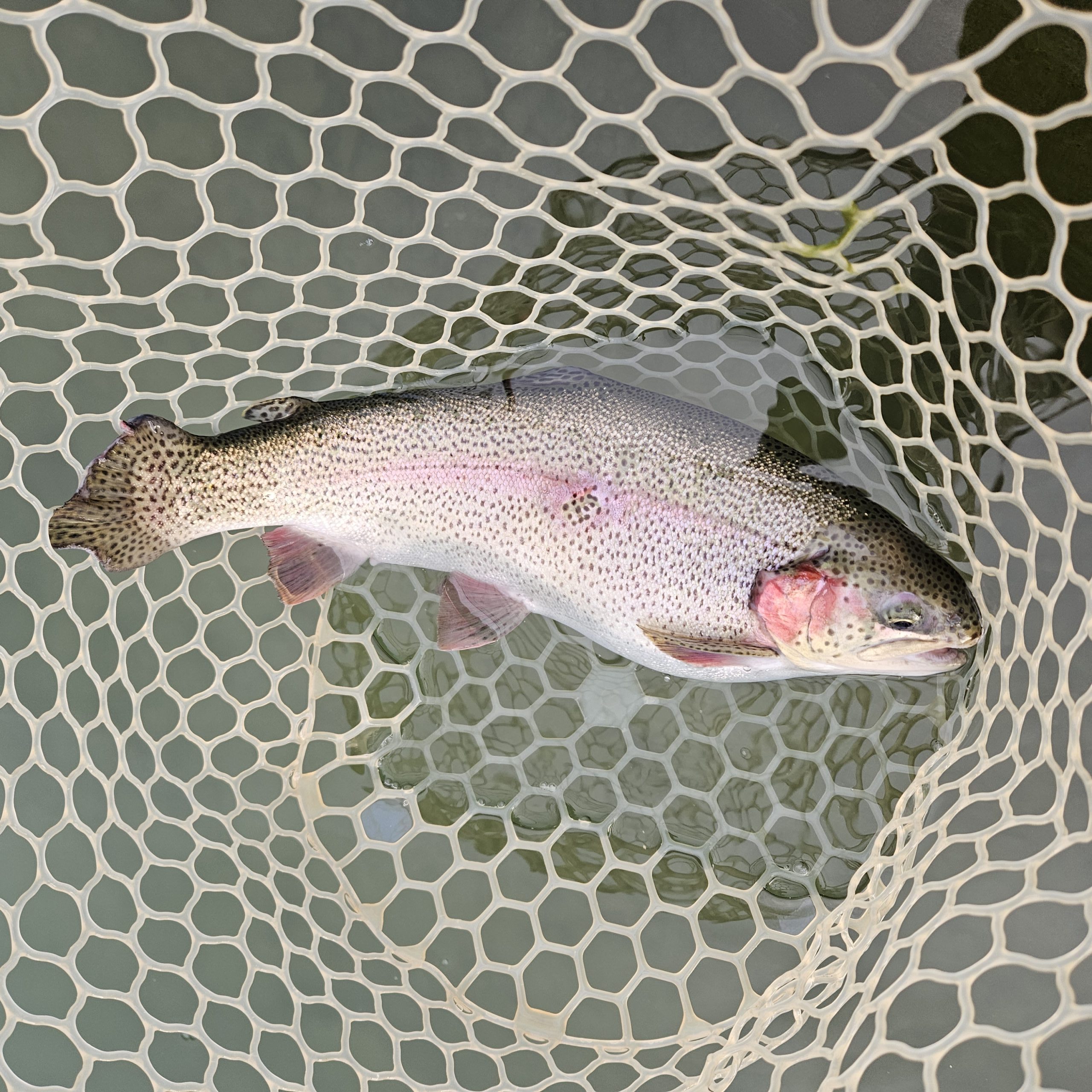 12月21日（日）八王子市　takaさん