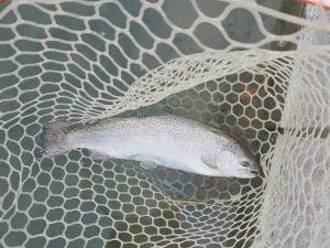 12月28日（日）立川市　たかちゃんさん