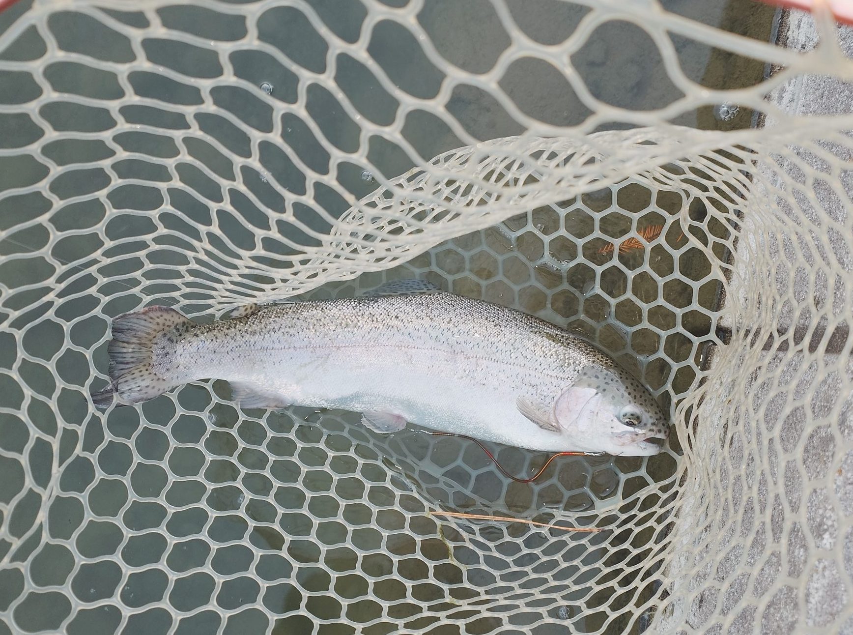 12月28日（日）立川市　たかちゃんさん