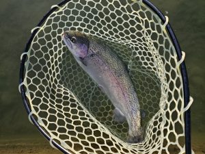 12月29日(月)　八王子市　takaさん