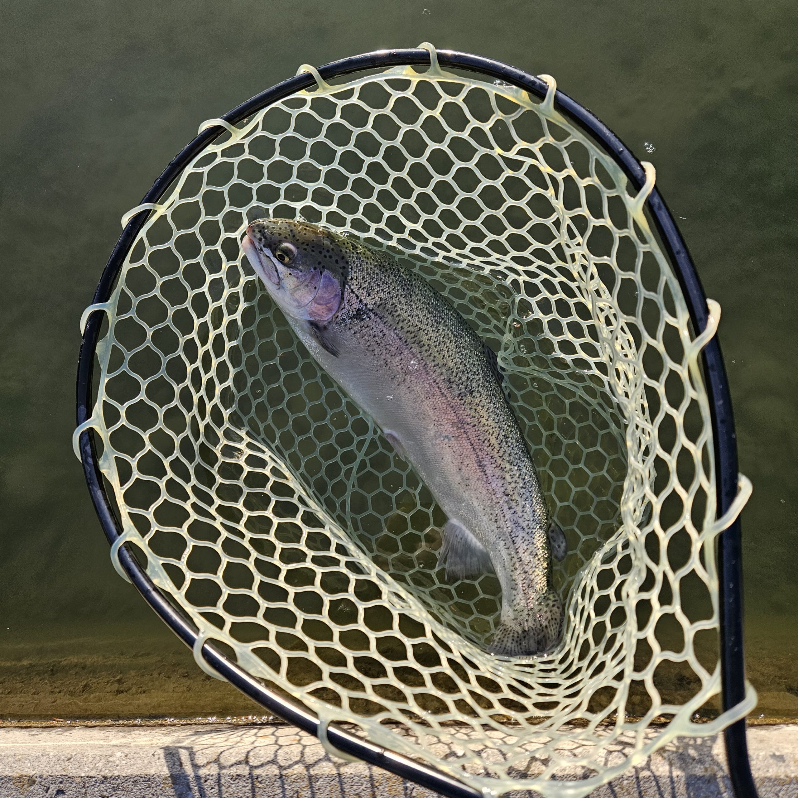 12月29日(月)　八王子市　takaさん