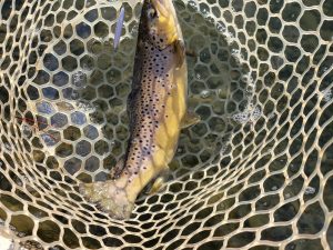 12月30日(火)　八王子市　ウスイさん