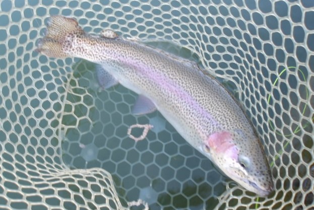 12月22日（月）三鷹市　kazu53さん