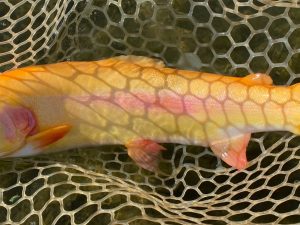 12月17日（水）坂戸市　タロヤン　さん