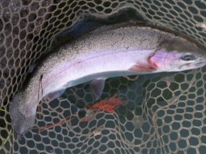 12月12日(金)　三鷹市　Kazu53さん