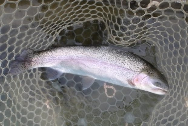 12月20日(土)三鷹市 kazu53 さん