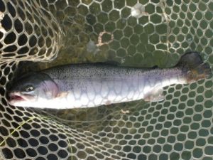 12月8日（月）三鷹市　kazu53　さん