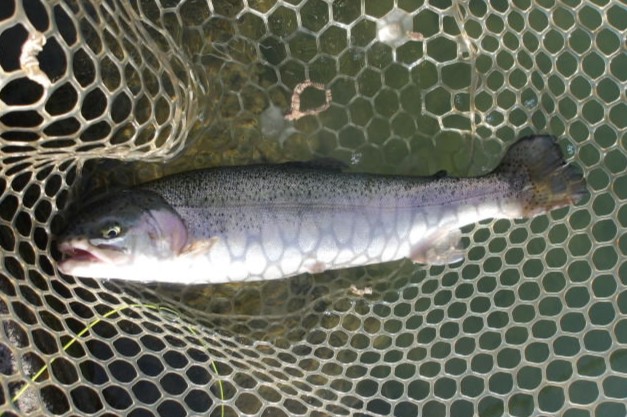 12月8日(月)三鷹市 kazu53 さん