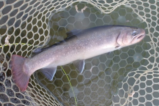 12月29日(月)　三鷹市　Kazu53さん