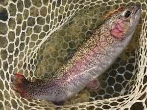 12月13日（土) 日の出町　田村さん