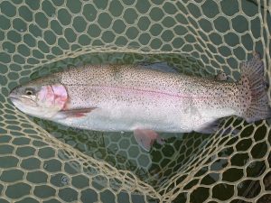 12月20日（土）日の出町　田村　さん