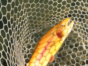 12月7日（日）三鷹市　くにザイルさん