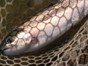 12月29日(月)　三鷹市　くにザイルさん