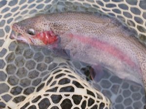 12月2日（火）所沢市　コロンレインボーさん