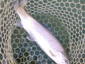 12月9日（火）所沢市　コロンレインボーさん