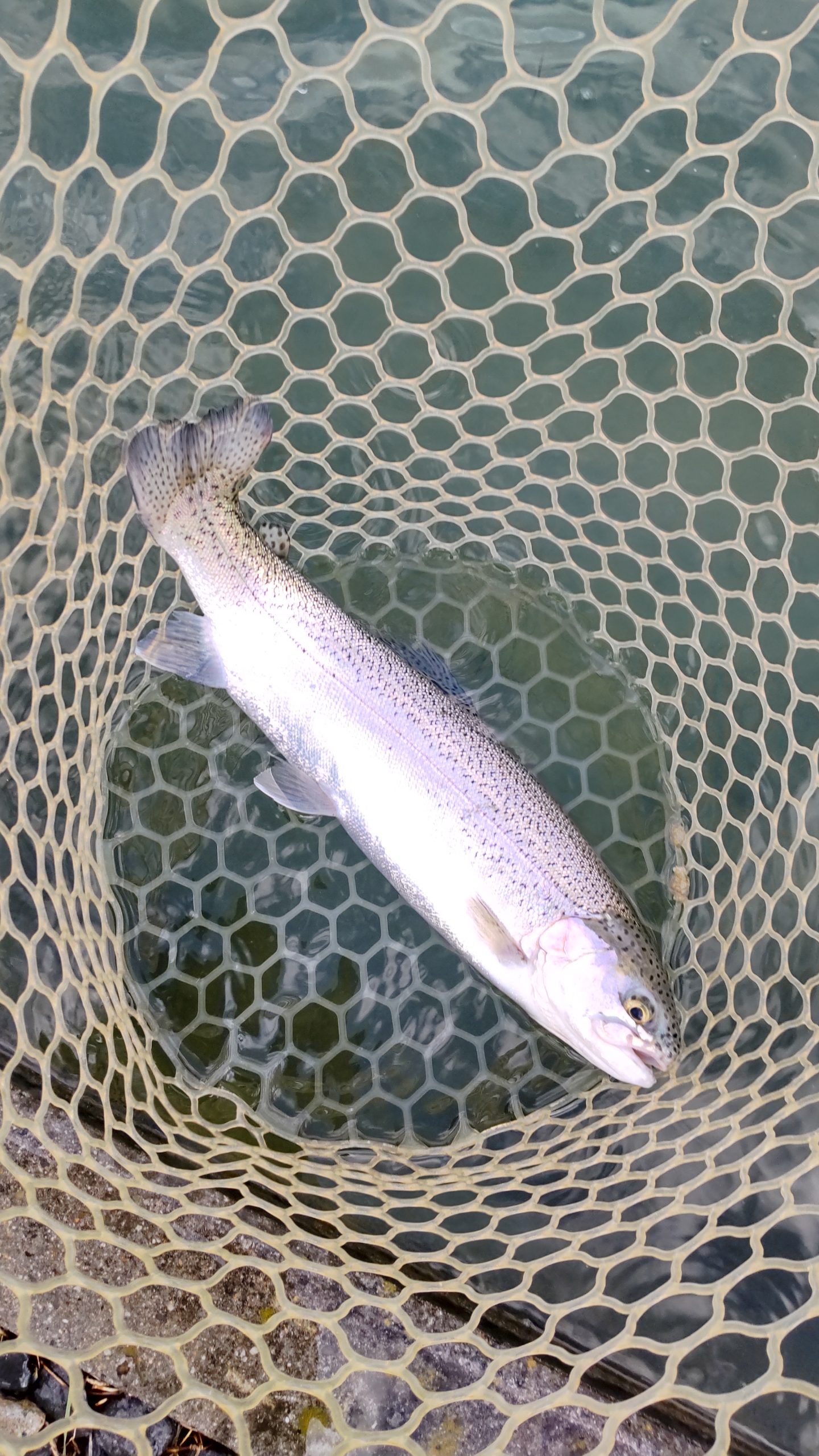 12月9日（火）所沢市　コロンレインボーさん