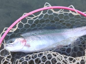 12月16日（火）所沢市　コロンレインボーさん