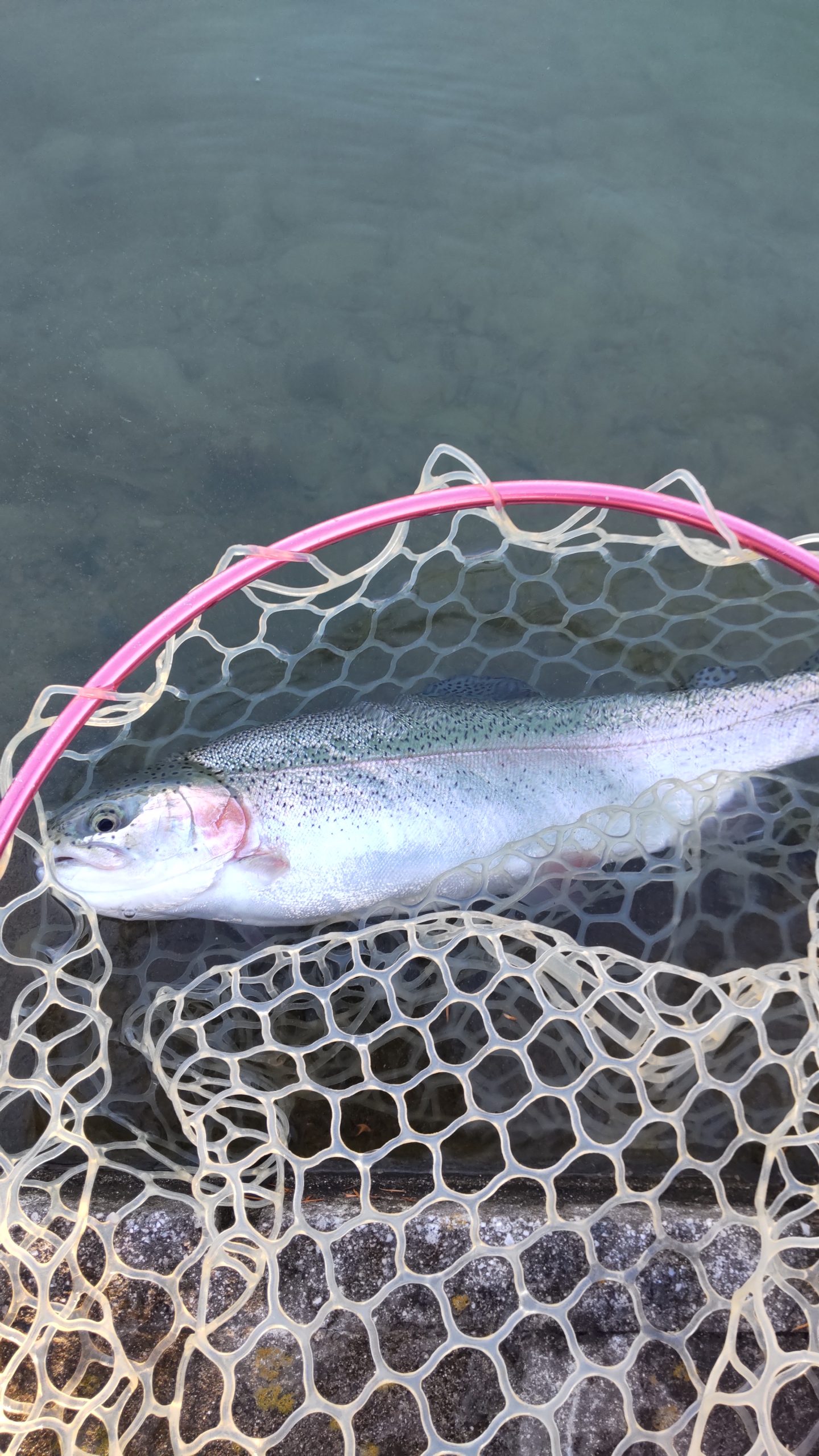 12月16日(火)所沢市 コロンレインボーさん