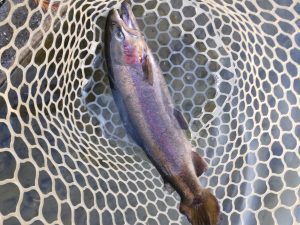 12月27日（土）所沢市　コロンレインボーさん