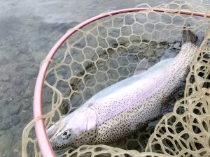 12月2日（火）福生市　KOさん