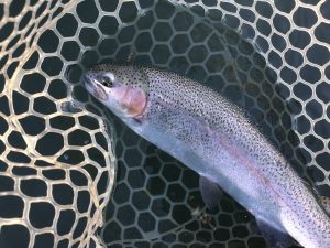 12月6日（土）八王子市　ムーキーさん