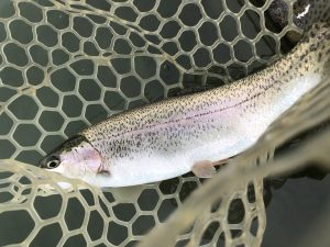 12月20日（土）八王子市　ムーキー　さん