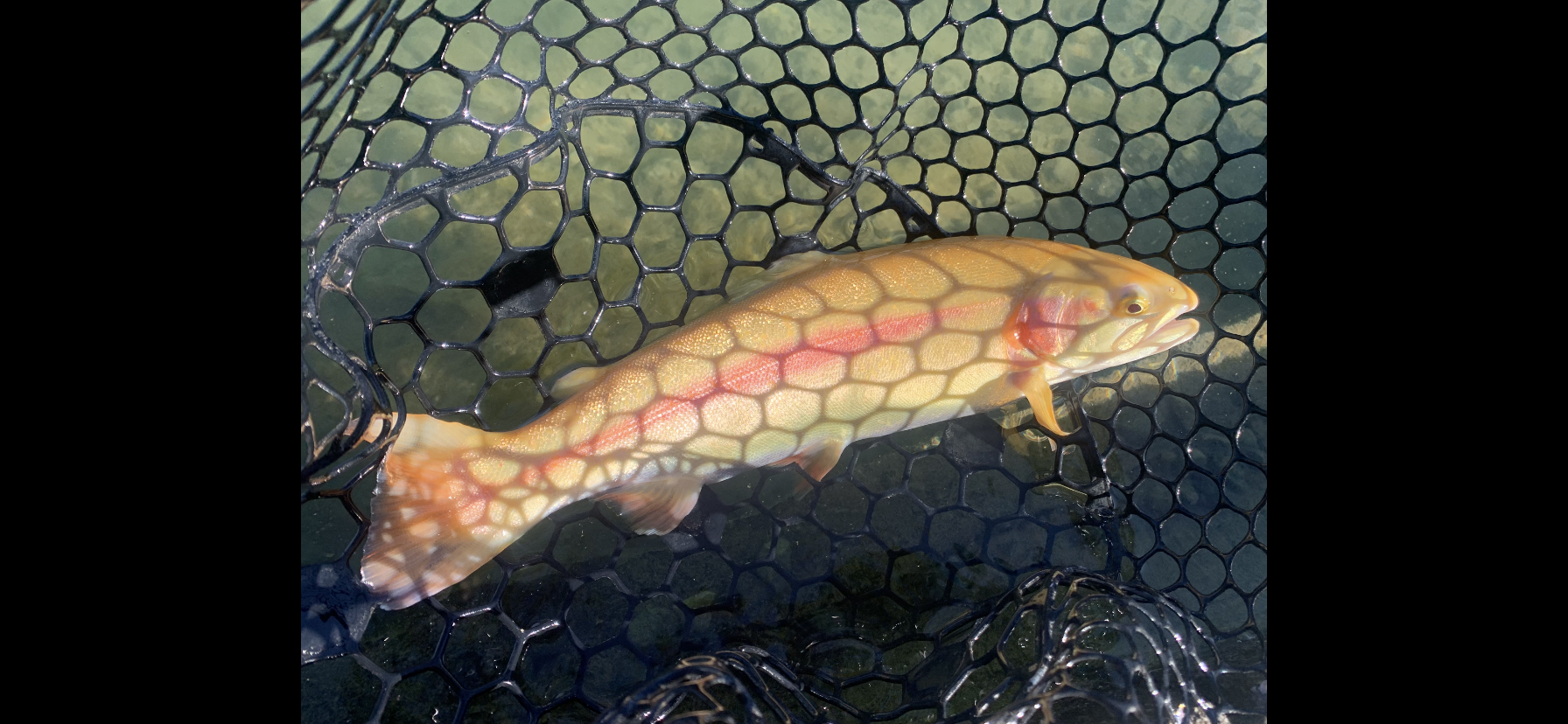 12月8日（月）　国立市　K.Tさん