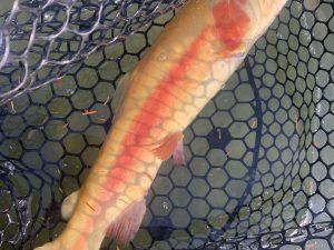 12月13日（土）国立市　K.Tさん