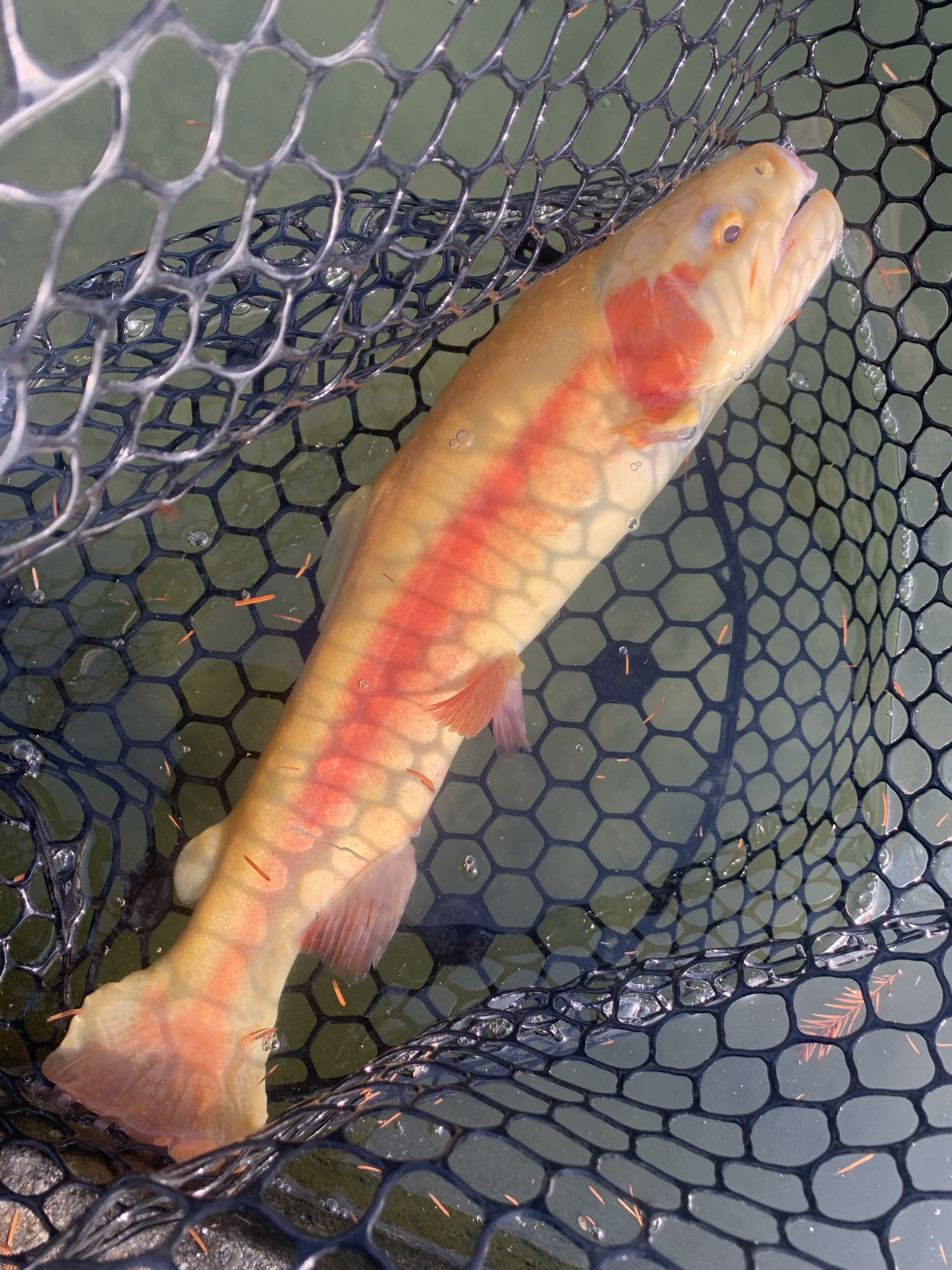 12月13日（土）国立市　K.Tさん