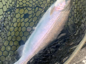 12月14日(日)　国立市　K.Tさん