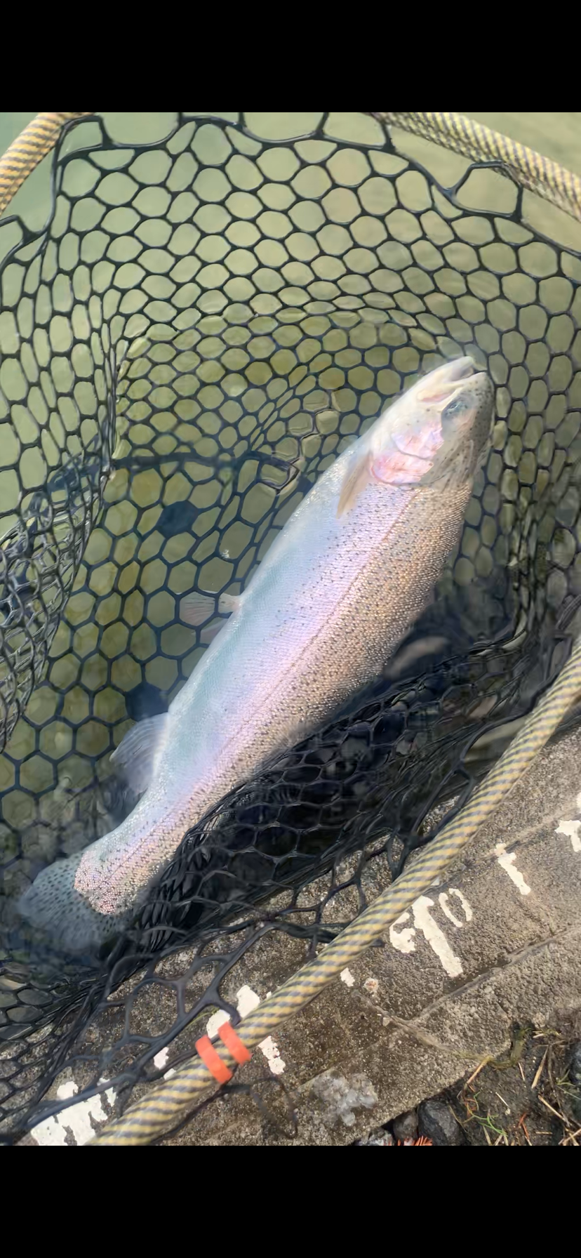 12月14日(日)　国立市　K.Tさん