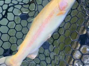 12月20日（土）国立市　K.T　さん